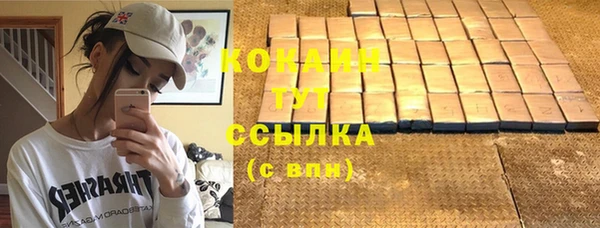 apvp Надым