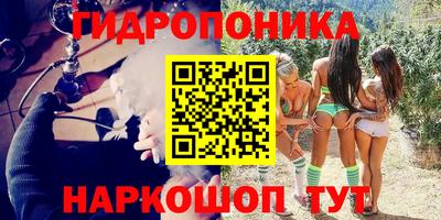 СК Краснодар