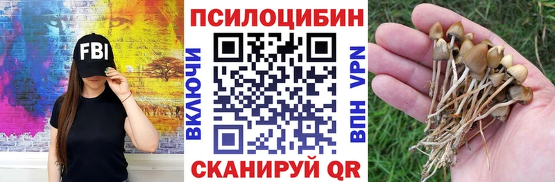 Галлюциногенные грибы Psilocybine cubensis  гидра сайт  Волгодонск 