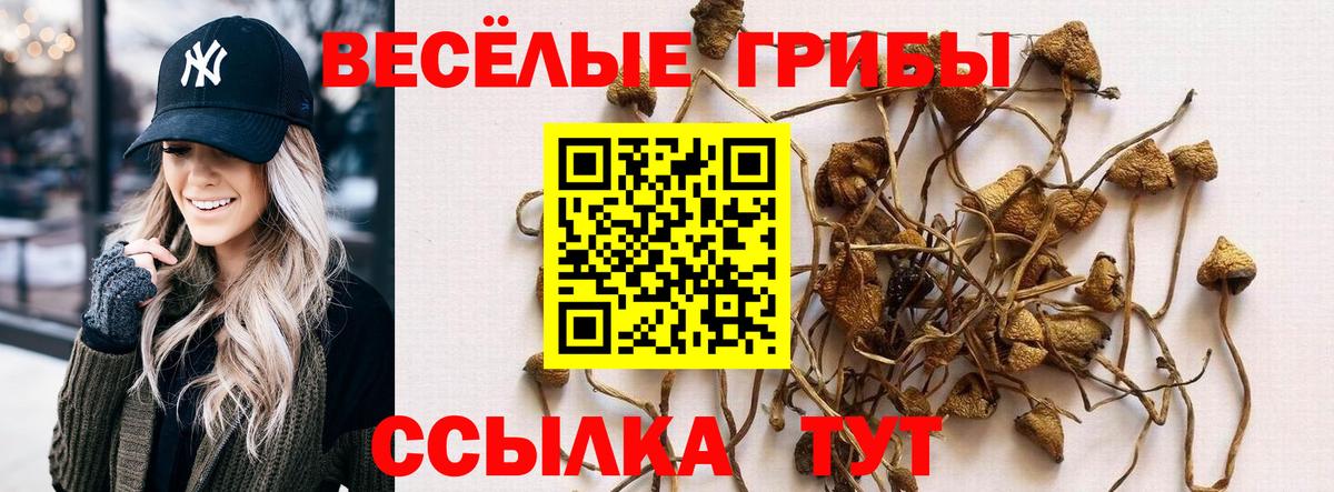 Псилоцибиновые грибы Magic Shrooms  Вход с VPN  Волгодонск 